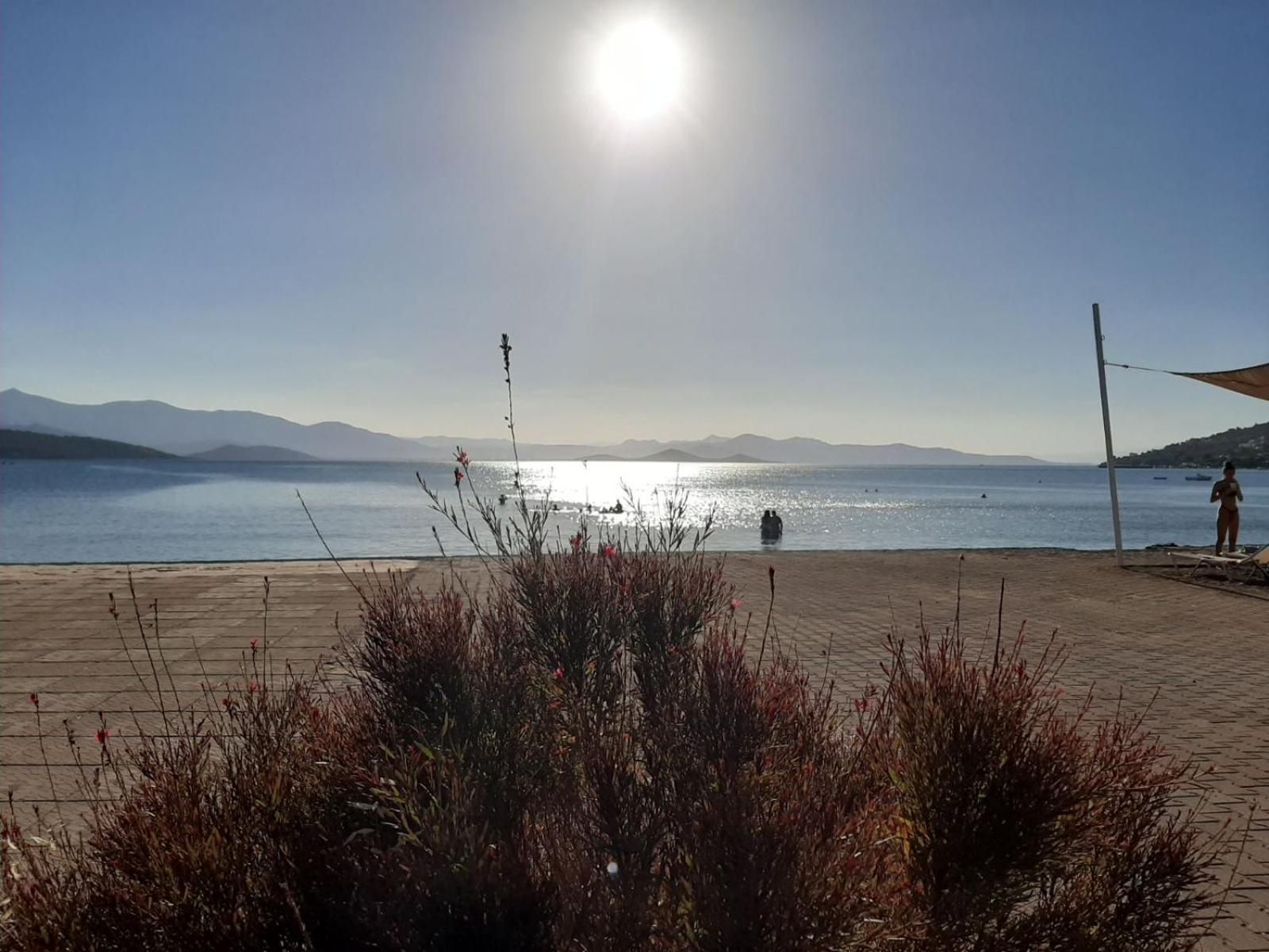 Orion Front Sea * Theologos (Phthiotis)